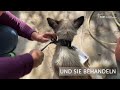 SUST-First Aid Points in der Region Galati