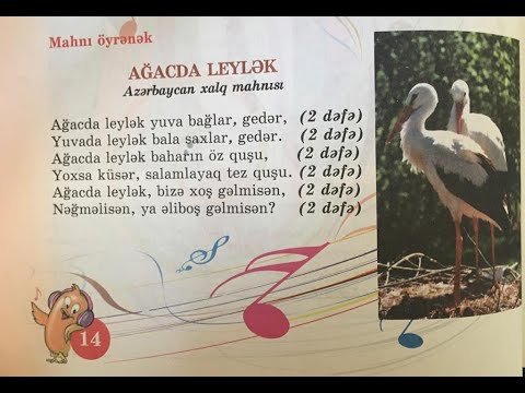 Ağacda leylək.Azərbaycan xalq mahnısı.Məktəb 238.