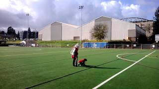 WP 20131102 009