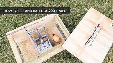 Expert Tips: How to Set and Bait your DOC 200 Traps (with and without the setting tools)