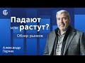 РЫНКИ ПАДАЮТ ИЛИ РАСТУТ? Обзор валют и акций с Александром Герчиком.