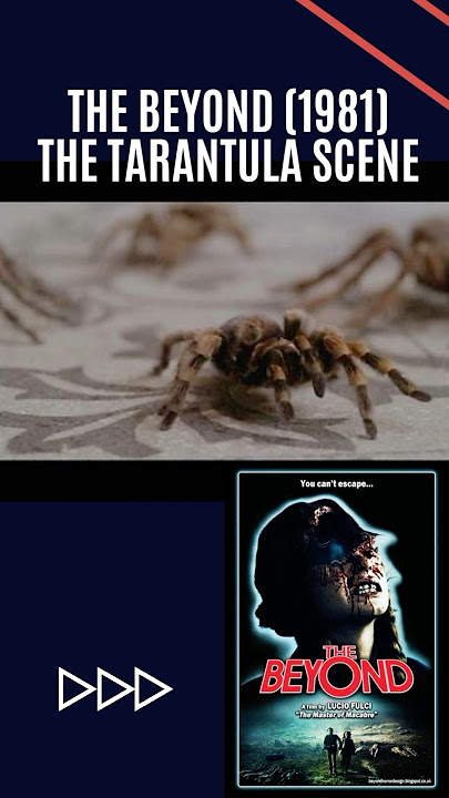 The Beyond (1981) The Tarantula Scene #thebeyond #luciofulci #horror #movie