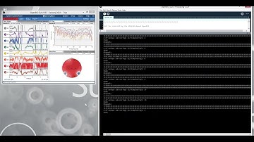 OpenBCI LempelZiv Raw Data Demo