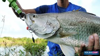 Mồi Mềm Câu Lure | Soft Baits screenshot 4