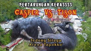 KERASSS_ CASPER Vs TISON, Adu Kerbau Arena Tapokko'