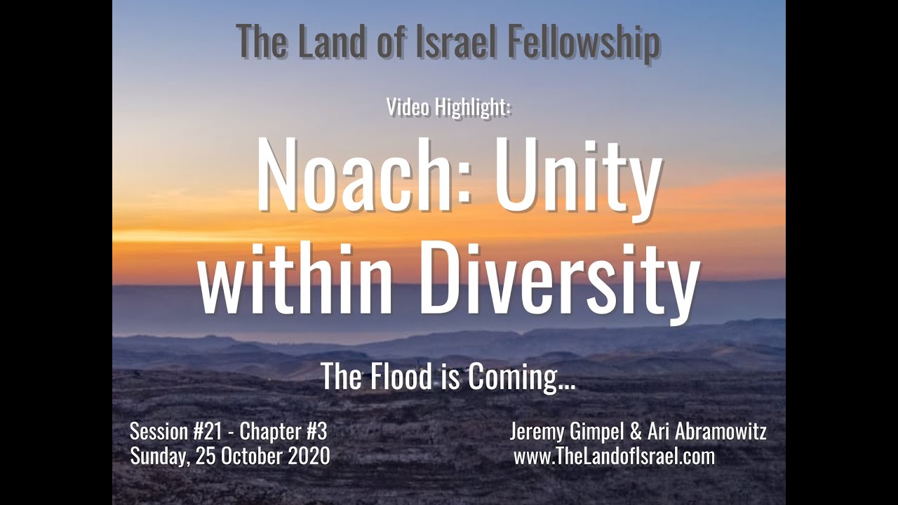 Noach: Unity within Diversity - Ari Abramowitz: The Land of Israel Fellowship