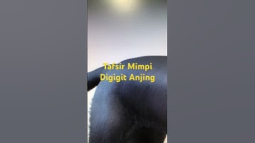 Arti mimpi tangan digigit anjing, waspadalah kata-kata menyakitkan dari orang kepercayaan