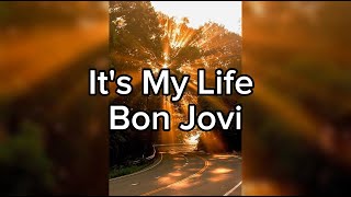 It's My Life - Bon Jovi - Tradução