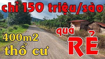 Bán đất vườn giá rẻ 1,4 ha có nhà 400m2 thổ cư đủ cây trái view nghỉ dưỡng đẹp khỏi chê ở Lâm Đồng