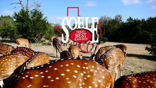 640 Acres Real County Texas Best Leakey’s Heaven’s Gate – Income Producing/Puerto Cielo!!!