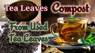 How to make Tea leaf Compost at home Easily