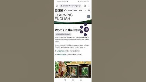 Lingua GO: Screen Translator