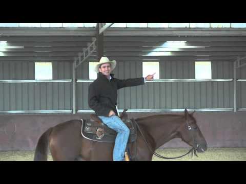 How Your Groundwork Relates to Your Riding