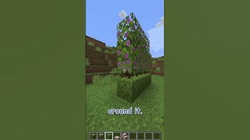 how to build a cute CHERRY and AZALEA wall!!! update 1.20 #shorts