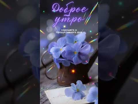 ДОБРОГО УТРЕЧКА🌷ХОРОШЕГО ДНЯ #short #shorts #shortvideo #shortsvideo #открыткисдобрымутром