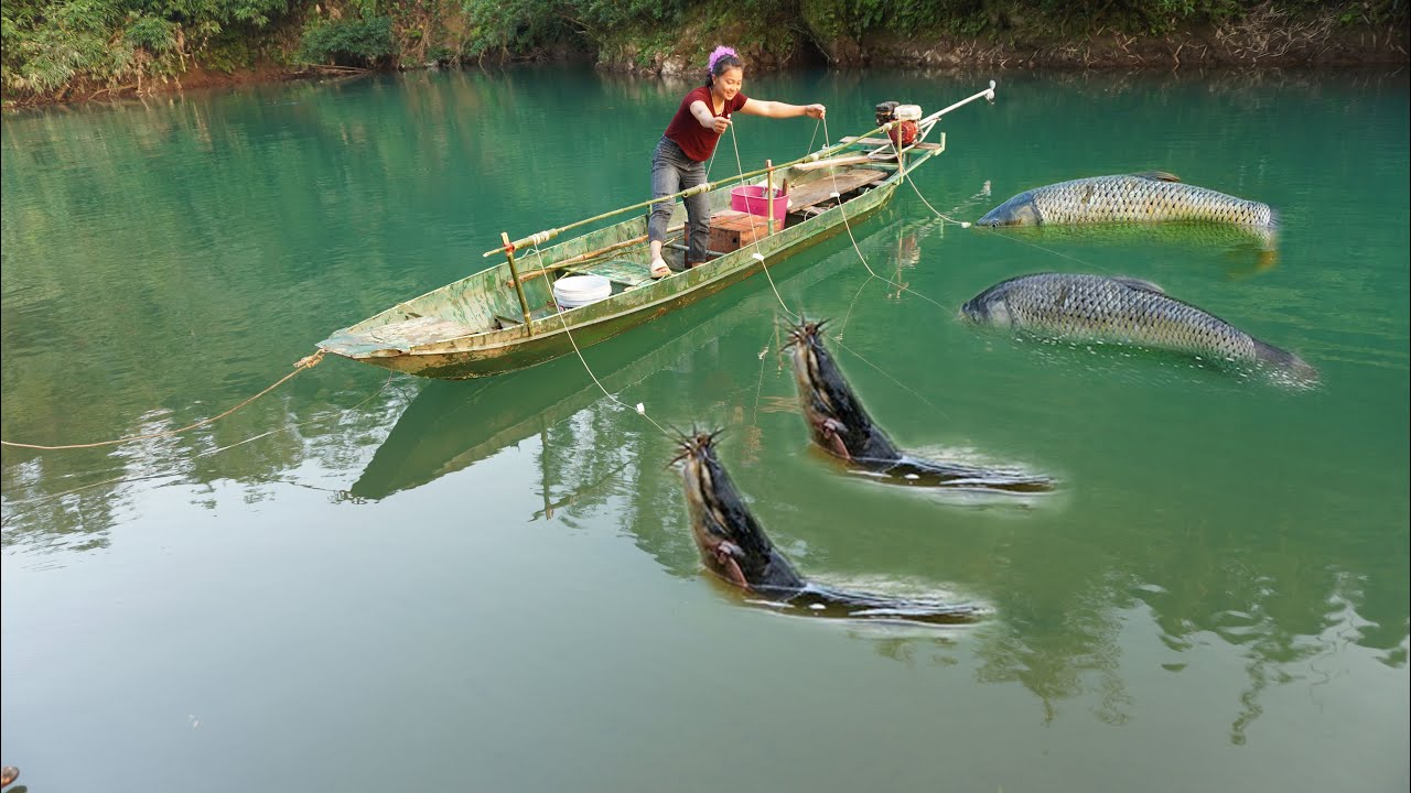 Fishing EXPERT Shares Secret Bait For Huge Fish - Pull The Hook Net To Catch Many Fish In The Stream