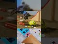 Get ready for some lasso action!v  #fypシ #crazy #gaming #fyp #funnymoments #funnyvideo #funny #robot