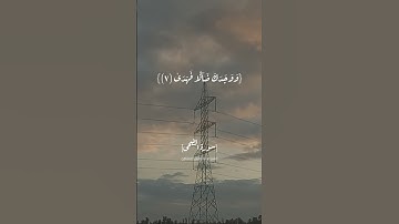 سورة الضحى الآية ٦و٧و٨ بصوت الشيخ محمد صديق المنشاوي رحمه الله #القران_الكريم