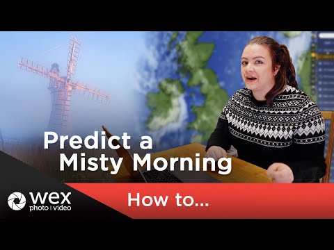 Misty Wet Photography: Tips And Tricks