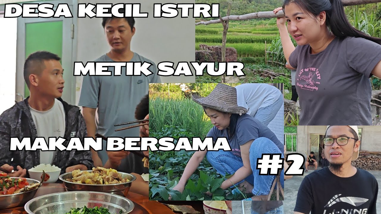 #2 Metik Sayur di Sawah dan Makan Bareng Keluarga