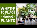 Tips for Indoor Plants | Home Decor with Plants | Woodofa