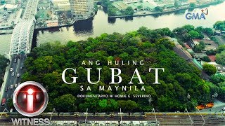 Iwitness the Last Forest In Manila A Documentary By Howie Severino with English Subtitles