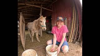 Another Day On The Farm