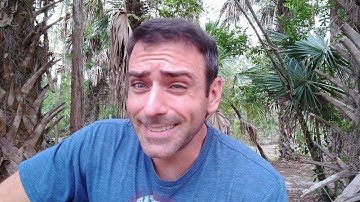 Android is not Linux But it is