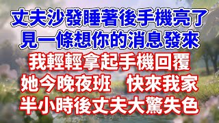 丈夫沙發睡著後手機亮了，見一條想你的消息發來，我輕輕拿起手機回覆，她今晚夜班，快來我家，半小時後丈夫大驚失色#完結 #情感故事 #一口氣看完 #為人處世