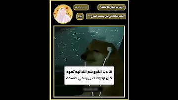 حسين مني وانا من حسين اكسبلور نبوش لايك نبو متابعه شيعة علي للأبد علي مع الحق والحق مع علي 