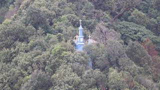 ဆလ ၉၁- Palms 91 Source Cbcm Osc