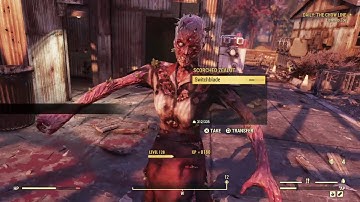 Fallout 76 - Daily: Chow Line / Event: Line in the Sand