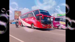Kumpulan bus agramas dari Ngadirojo,Wonogiri coocok buat story wa.