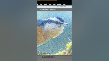 Best Noise Removal Ever? Photoshop’s New AI! #Shorts
