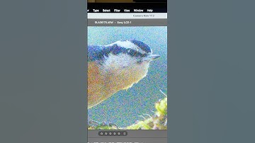 Best Noise Removal Ever? Photoshop’s New AI! #Shorts