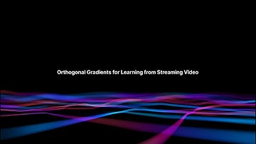 Learning from Streaming Video with Orthogonal Gradients