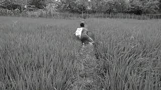 KEMBARAN AGUS KOTAK. cohhh!