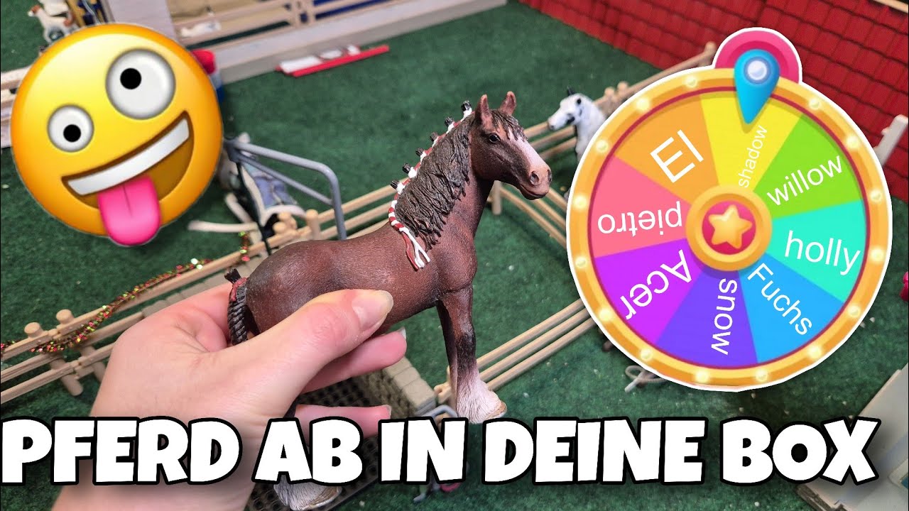 Pferd ab in deine Box mit einem GLÜCKSRAD!🍀🥠🐴☘️+ wieder mehr Videos!