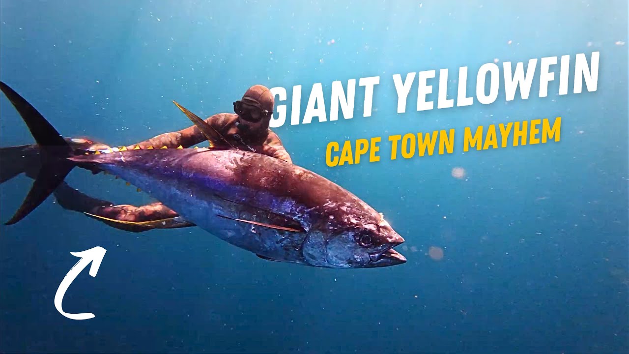 Spearfishing GIANT Yellowfin Tuna | Cape Town Offshore Action!