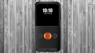 Sony Ericsson W350