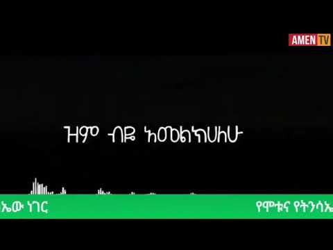 ቪዲዮ: ሊሊ (101 ፎቶዎች) -በሜዳው ላይ አበባን መትከል እና መንከባከብ። የአትክልት አበባ አበባ ምን ይመስላል? በፀደይ ወቅት አምፖሎችን እንዴት እንደሚተክሉ? ከአበባዎች ጋር ሴራ ማስጌጥ