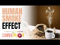 CANVAPLAY | HUMAN SMOKE EFFECT