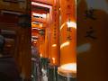 Welcome to Fushimi Inari
