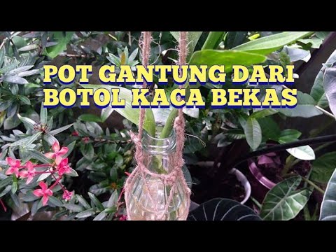 tutorial pot gantung dari botol kaca bekas #potgantung #tutorialpotgantung #potgantungdaribotol