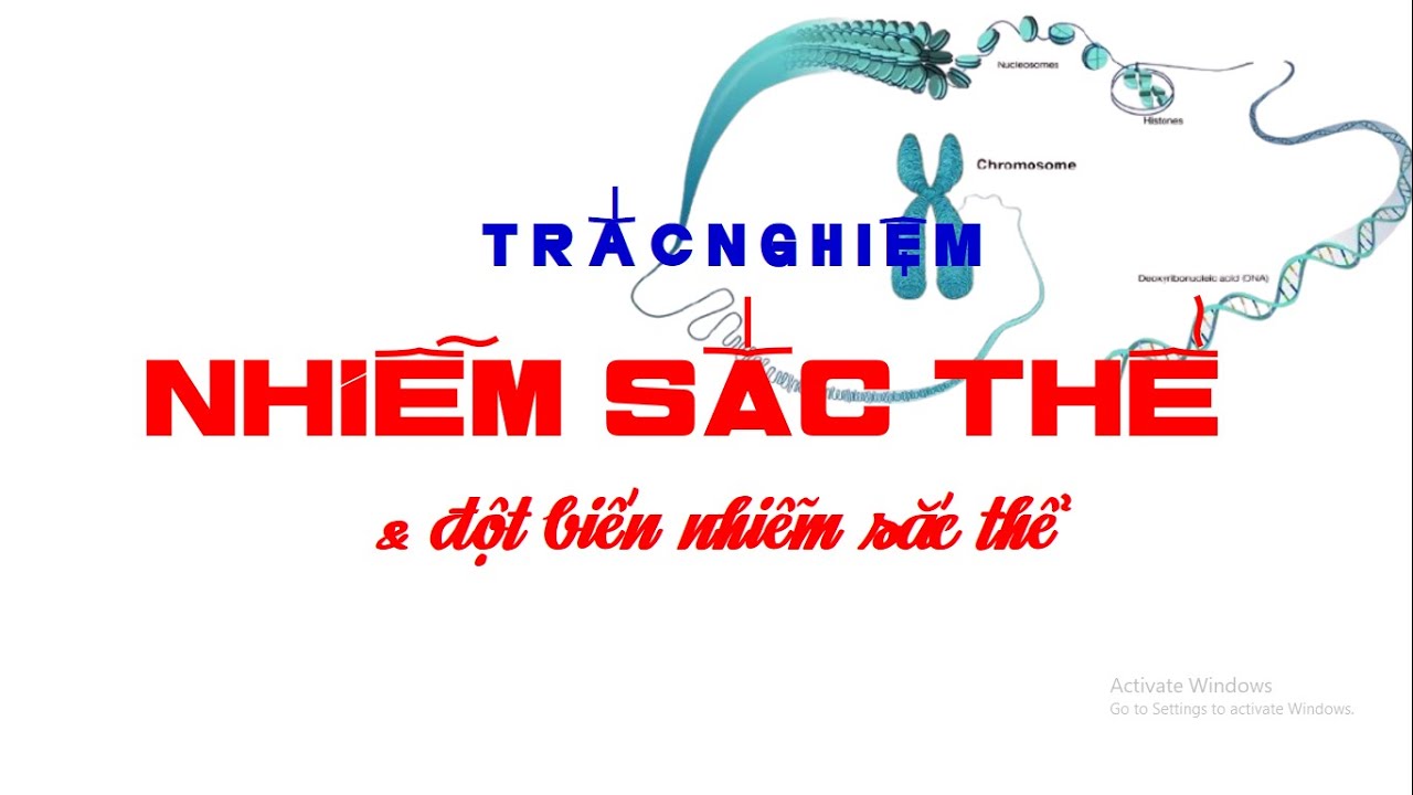 NHIỄM SẮC THỂ & ĐỘT BIẾN NHIỄM SẮC THỂ | TRẮC NGHIỆM CƠ BẢN | SINH HỌC 12