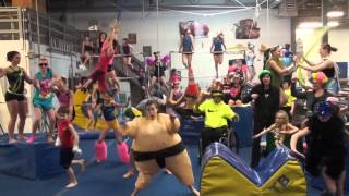 Harlem Shake (Palmer's Gymnastics Style)