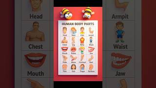 “Human Body Parts Learning | Kids Education Shorts”