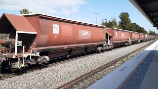 SSR Freight through Beresfield