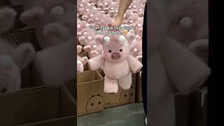Look at how fluffy and chubby they are 🥹 #plushie #plushtoy #stuffedanimals