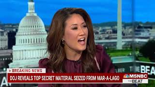 Danya Perry compares Trump documents investigation to narcotics case
